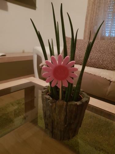 Apartman Susanj