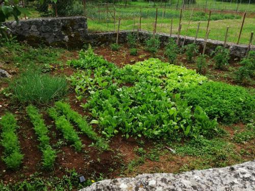 Apartamento Rustic Village