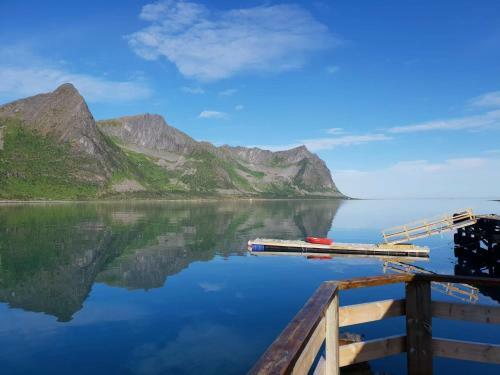 Northern Light Hotell/camp Steinfjord
