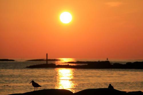 Hostal Midnattsol Rom Og Hytter