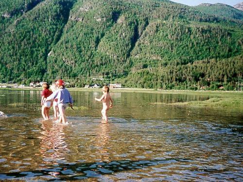 Apartamento Three-bedroom Holiday Home In Todalen