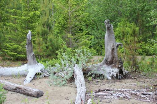 Agroturismo Vognbua P� Gran