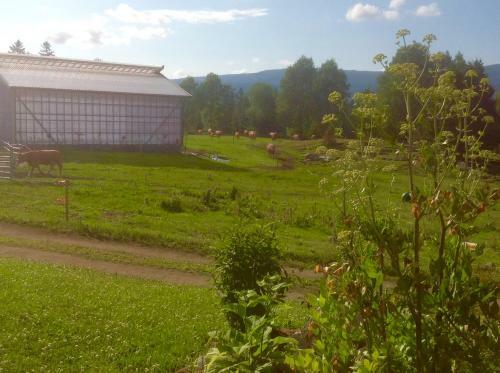 Agroturismo Vognbua P� Gran
