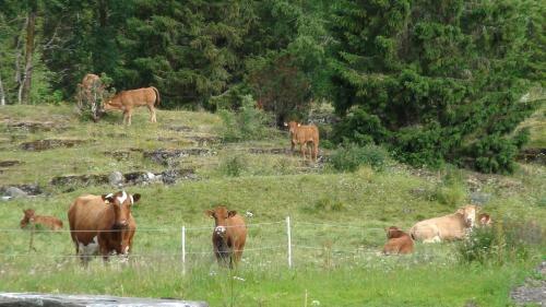 Agroturismo Vognbua P� Gran