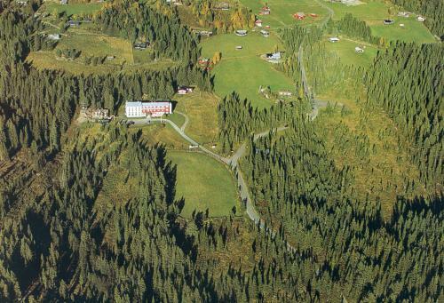 Hotel Tronsvangen Seter
