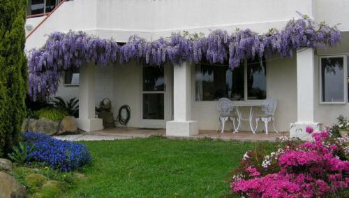 Apartamento Clairmont Studio