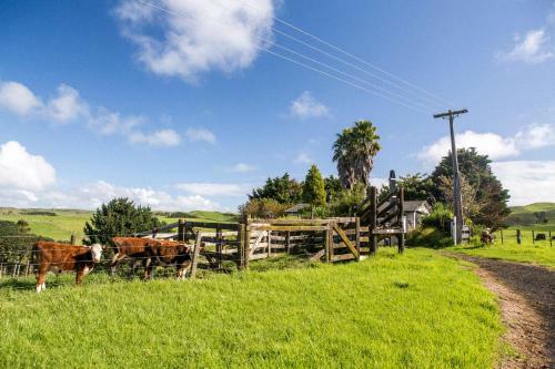 Waiuku Serene Farm & Home