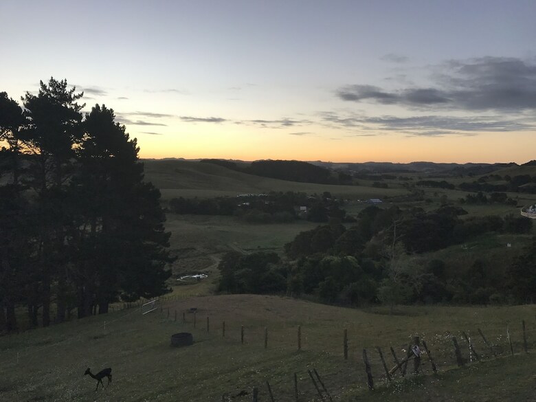 Bed & Breakfast Pukeatua Farmstay