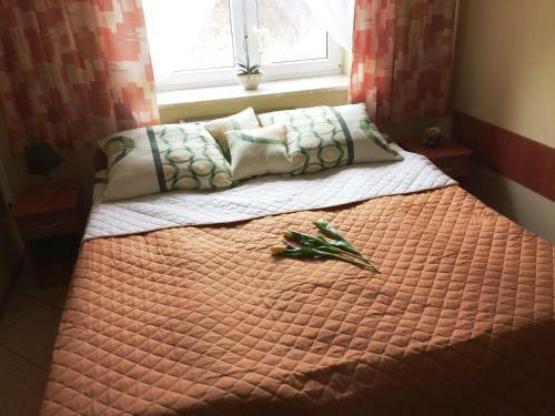 Hostal Us?ugi Hotelowe Modlin Airport