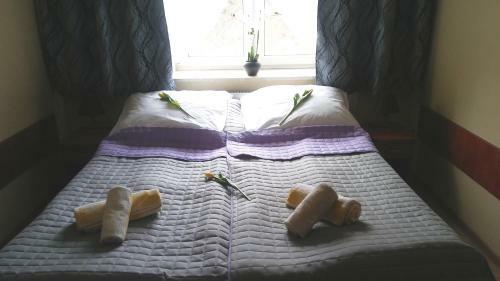 Hostal Us?ugi Hotelowe Modlin Airport