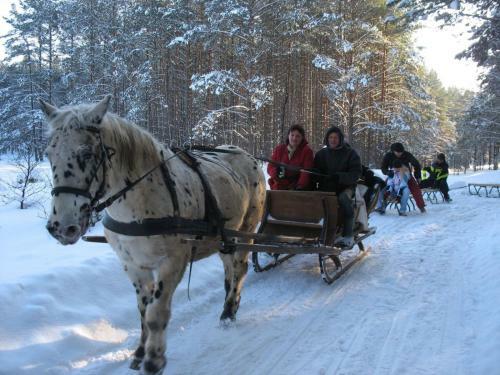 Agroturismo Kozio?kowo