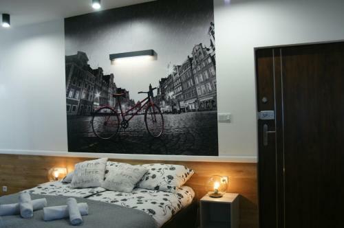 Q Apartamenty