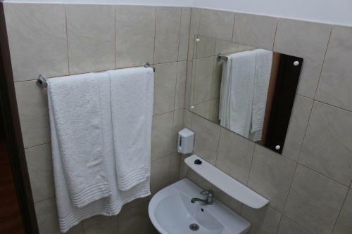 Hostal Pensiunea Fery
