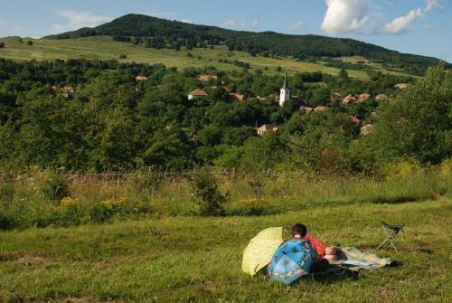 Hostal Firtos Vend�gh�z