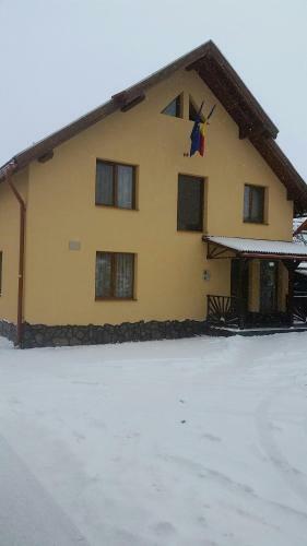 Villa Casa de Oaspeti La Bilbor