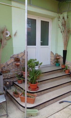 Agroturismo Casa Cosmin
