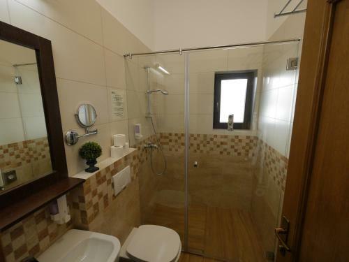 Hostal Pensiunea Vis Alpin Belis