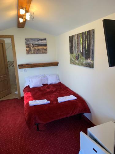Hostal Pensiunea Vis Alpin Belis