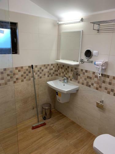 Hostal Pensiunea Vis Alpin Belis