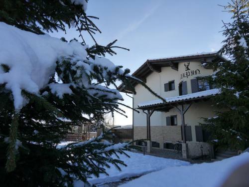 Hostal Pensiunea Vis Alpin Belis