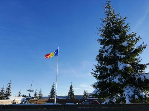 Hostal Pensiunea Vis Alpin Belis