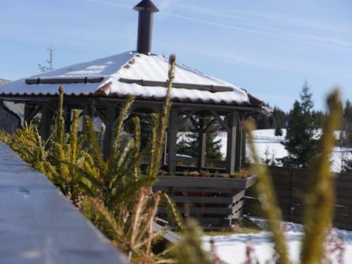 Hostal Pensiunea Vis Alpin Belis