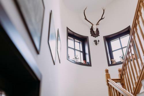 Hostal Pensiunea Vis Alpin Belis