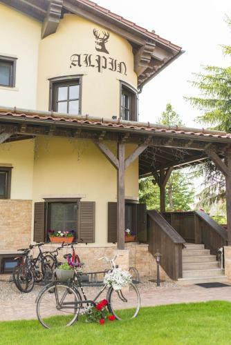 Hostal Pensiunea Vis Alpin Belis