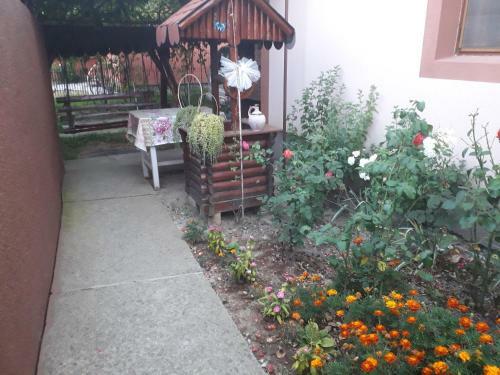 Hostal Pensiunea Ileana