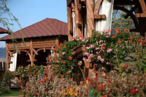 Hostal Pensiunea Cabana Soimul