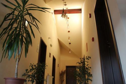 Hostal Pensiunea Casa Georgia