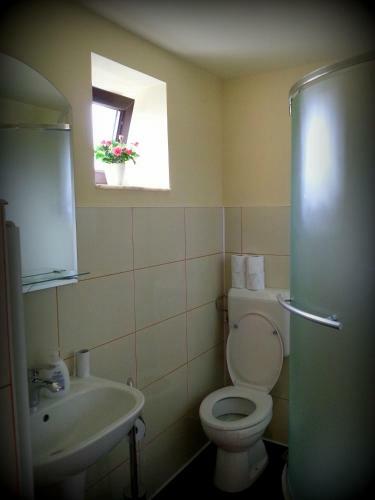 Hostal Cazare La Troita