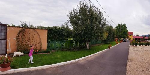 Hostal Cazare La Troita