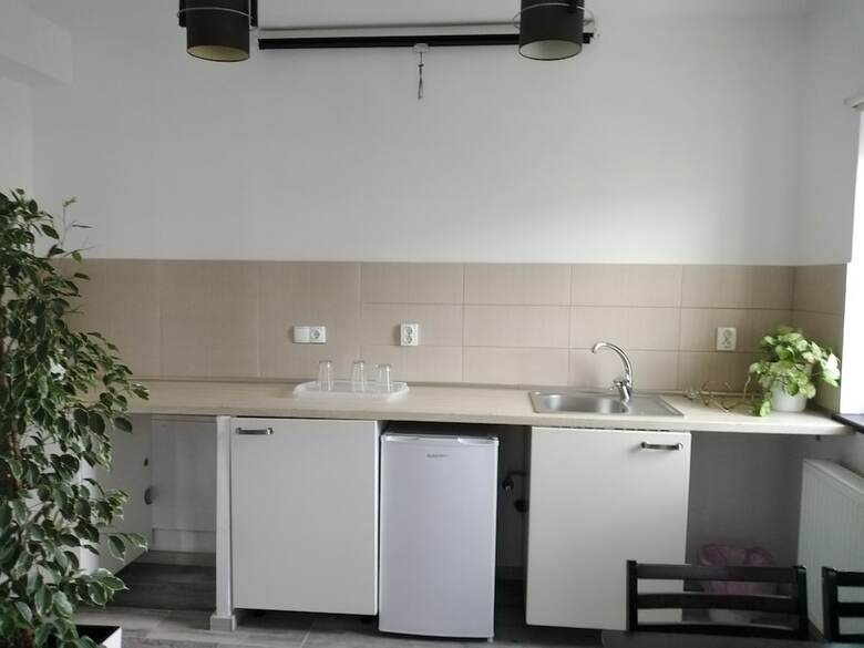 Hostal Pensiunea Carol