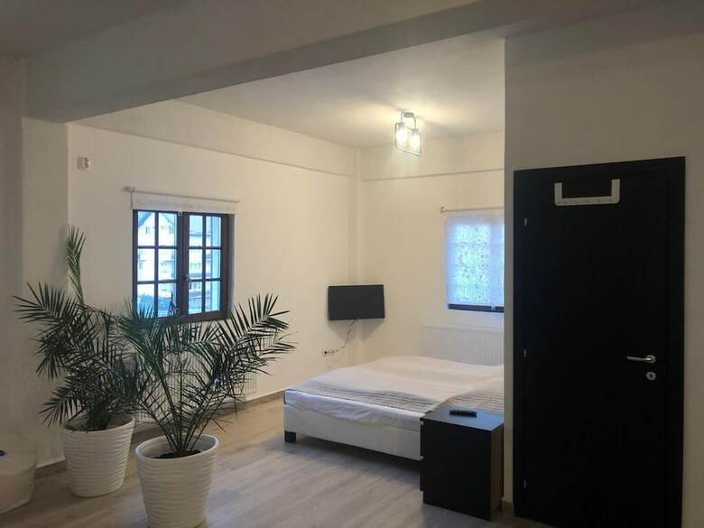 Hostal Pensiunea Carol