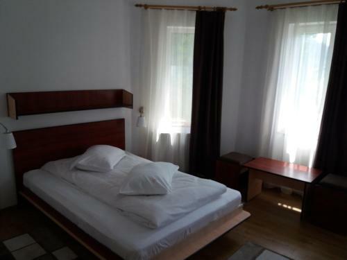 Villa Vila Viitorul