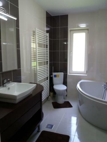 Villa Vila Viitorul