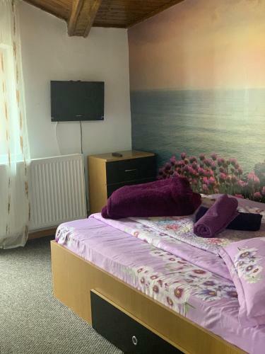 Vila Ammos Apartments Busteni