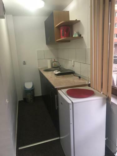Vila Ammos Apartments Busteni