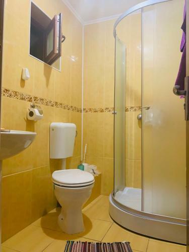Vila Ammos Apartments Busteni