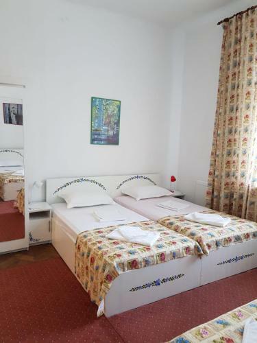 Hostal Pensiunea Geostar 2