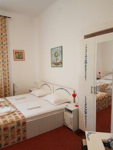 Hostal Pensiunea Geostar 2