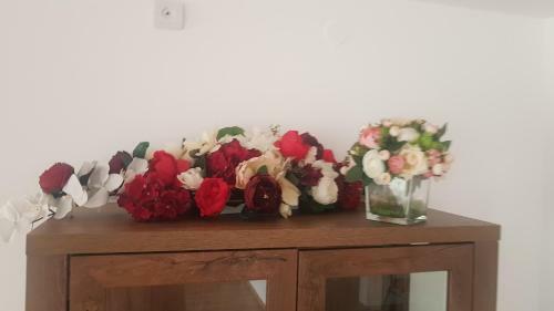 Hostal Pensiunea Doina