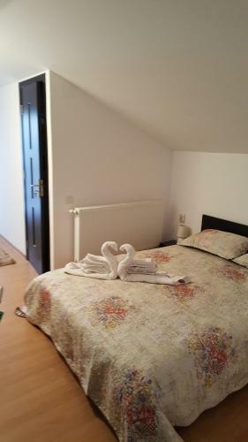 Hostal Pensiunea Doina