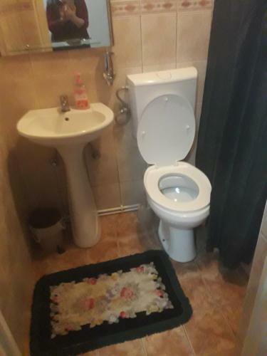 Hostal Vila Sa?a Palic