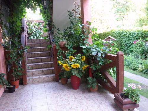 Hostal Vila Sa?a Palic