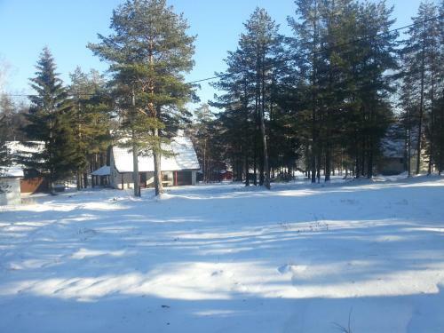 Vikendica Vuk