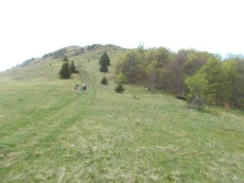 Apartamento Luksuzni Dupleks