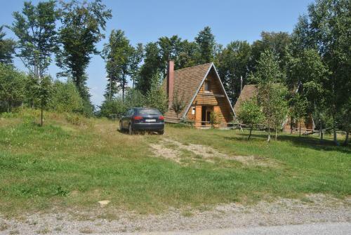 Vila Nevena Go?