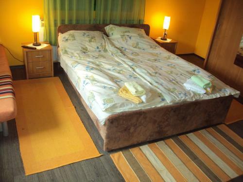 Apartman Rudnik
